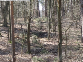 2014-03-20-pichelsberge-ampostfenn-122 2014-03-20-pichelsberge-ampostfenn-122