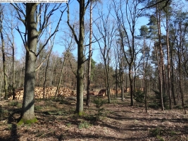 2014-03-20-pichelsberge-ampostfenn-144 2014-03-20-pichelsberge-ampostfenn-144