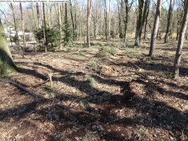 2014-03-20-pichelsberge-ampostfenn-145 2014-03-20-pichelsberge-ampostfenn-145