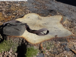 2014-03-20-pichelsberge-ampostfenn-147 2014-03-20-pichelsberge-ampostfenn-147