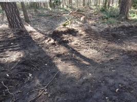 2014-03-20-pichelsberge-ampostfenn-148 2014-03-20-pichelsberge-ampostfenn-148