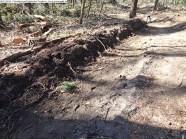 2014-03-20-pichelsberge-ampostfenn-151 2014-03-20-pichelsberge-ampostfenn-151