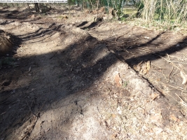 2014-03-20-pichelsberge-ampostfenn-152 2014-03-20-pichelsberge-ampostfenn-152