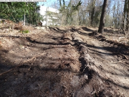 2014-03-20-pichelsberge-ampostfenn-153 2014-03-20-pichelsberge-ampostfenn-153