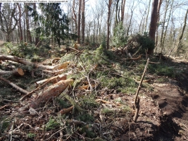 2014-03-20-pichelsberge-ampostfenn-154 2014-03-20-pichelsberge-ampostfenn-154