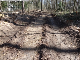 2014-03-20-pichelsberge-ampostfenn-155 2014-03-20-pichelsberge-ampostfenn-155