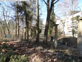 2014-03-20-pichelsberge-ampostfenn-156 2014-03-20-pichelsberge-ampostfenn-156