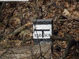 2014-03-20-pichelsberge-ampostfenn-159 2014-03-20-pichelsberge-ampostfenn-159