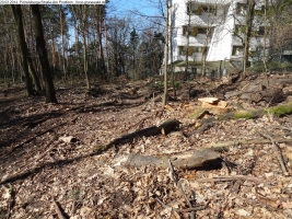 2014-03-20-pichelsberge-ampostfenn-161 2014-03-20-pichelsberge-ampostfenn-161