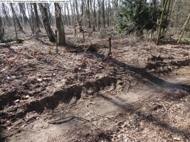 2014-03-20-pichelsberge-ampostfenn-163 2014-03-20-pichelsberge-ampostfenn-163