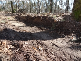 2014-03-20-pichelsberge-ampostfenn-164 2014-03-20-pichelsberge-ampostfenn-164