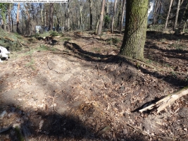 2014-03-20-pichelsberge-ampostfenn-170 2014-03-20-pichelsberge-ampostfenn-170