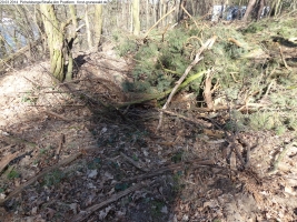 2014-03-20-pichelsberge-ampostfenn-172 2014-03-20-pichelsberge-ampostfenn-172