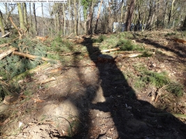 2014-03-20-pichelsberge-ampostfenn-173 2014-03-20-pichelsberge-ampostfenn-173