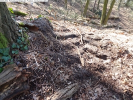 2014-03-20-pichelsberge-ampostfenn-175 2014-03-20-pichelsberge-ampostfenn-175