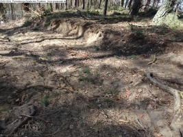 2014-03-20-pichelsberge-ampostfenn-180 2014-03-20-pichelsberge-ampostfenn-180