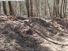 2014-03-20-pichelsberge-ampostfenn-182 2014-03-20-pichelsberge-ampostfenn-182