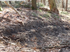 2014-03-20-pichelsberge-ampostfenn-183 2014-03-20-pichelsberge-ampostfenn-183