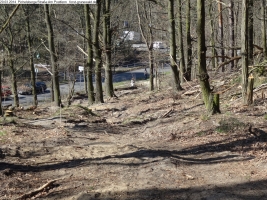 2014-03-20-pichelsberge-ampostfenn-184 2014-03-20-pichelsberge-ampostfenn-184