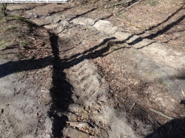 2014-03-20-pichelsberge-ampostfenn-186 2014-03-20-pichelsberge-ampostfenn-186