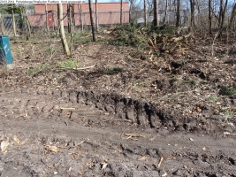 2014-03-20-pichelsberge-ampostfenn-189 2014-03-20-pichelsberge-ampostfenn-189