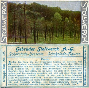 1904 Stollwerck Album 7 Serie 312 Nr. 4 - Grunewald - Fenn - klein