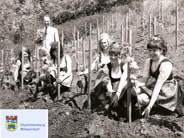 Rebanpflanzung am Teufelsberg am 19.6.1970 mit Bezirksstadtrat Hans-Joachim Schwarze und Weinköniginnen, Foto: Zellmann